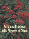 Rare and Precious Wild Flowers of China(2)