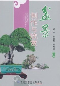 Making and Appreciation of Penjing