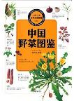 Atlas of Wild Vegetables of China (Beauty of China-The Natural Ecological View)