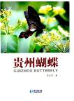 Guizhou Butterfly