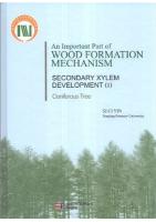 An Important Part of Wood Formation Mechanism-Secondary Xylem Development (1) Coniferous Tree