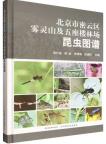Illustrated Catalogue of Insects in Wuling Mountain and Wuzuolou Forest Farm, Miyun District, Beijing