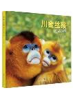 Sichuan's Golden Snub-Nosed Monkeys -Their Life Illustrated
