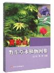 Illustrated Handbook of Wild Herbaceous Plants in Huangbai Mountain
