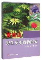 Illustrated Handbook of Wild Herbaceous Plants in Huangbai Mountain