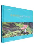 The Treasures of Shangri La's Secret Land - Mushrooms