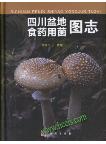 Illustrated Book of Edible and Medicinal Fungi from Sichuan Basin -Sichuan Pendi Shiyao Yongjun Tuzhi