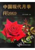 Modern Roses Bred in China 