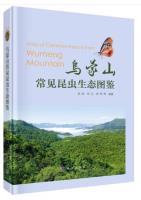 Atlas of Common insects from Wumeng Mountain