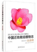 Ex Situ Flora of China-Theaceae