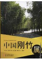 The Genus Phyllostachys in China