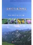 Illustrated Handbook of Wild Plants in Qinling Mountains