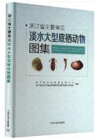 Atlas of Major Common Freshwater Macrobenthic Animals in Zhejiang Province