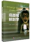 Tibetan Macaque Anatomy
