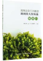 Macroalgae in Intertidal Zone of Hainan Island and Sansha Islands (Chlorophyta)