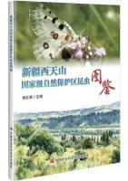 Illustrated Guide of Insect the West Tianshan Mountains National Nature Reserve in Xinjiang