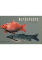 The Freshwater Fishes of China in Coloured Illustrations Vol.1，2，3  (Ebook, PDF)