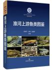 Field Guide to the Fish of the Upper Reaches of the Huaihe River