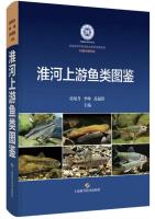 Field Guide to the Fish of the Upper Reaches of the Huaihe River