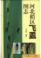 Atlas of Rice Planthoppers Management in Hebei Province