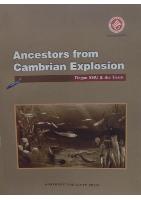 Ancestors from Cambrian Explosion