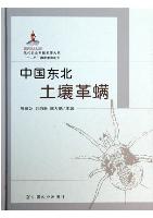 Soil Gamaside of the Northeast China