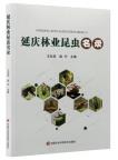 List of Forestry Insects in Yanqing