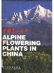 Alpine Flowering Plants in China