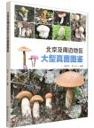 Illustrated Guide to Macrofungi in Beijing and Surrounding Areas