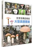 Illustrated Guide to Macrofungi in Beijing and Surrounding Areas