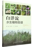 Atlas of Aquatic Plants in Baiyangdian