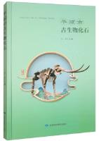 Paleontological Fossils in Pingliang City