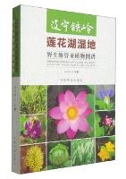 Liaoning tieling Lotus Lake Wetland Atlas of Wild Vascular Plants