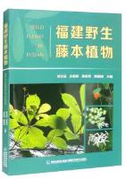 Wild Lianas in Fujian