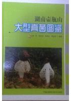 Atlas of Macrofungi from Huping Mountain in Hunan