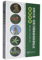 Illustrations of Plants in Gansu Taitong-Kongtongshan National Nature Reserve