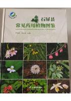 Illustrated Guide to Common Medicinal Plants in Shiping County