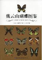 Butterflies of Daiyunshan(DaiYunShan HuDie TuJian) 