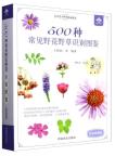 Atlas Identification of 500 Species Common Wild flower and Weeds (Color Picture Collection Edition)