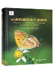Atlas of Common Insects from Zhaotong, Yunnan