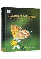 Atlas of Common Insects from Zhaotong, Yunnan