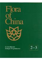 Flora of China Volume 2-3 Lycopodiaceae through Polypodiaceae