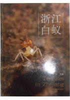 Termites in Zhejiang