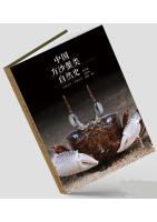 Natural History of Grapsid and Ocypoid Crabs of China