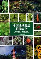 Encyclopedia of Chinese Garden Flora(Vol.13)Pteridophytes-Gymnosperms