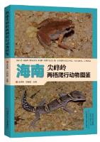 Wild Amphibians and Reptilies in Jianfengling, Hainan, China