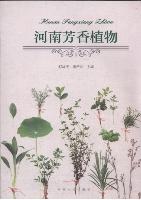 Aromatic Plants in Henan