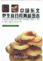 Illustrations of Edible and Medicinal Fungi in Northeastern China (Ebook)