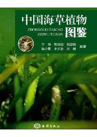 Atlas of Seagrass Plants in China