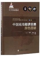 Color Atlas of Molluscs of the South China Sea (2nd Edition)